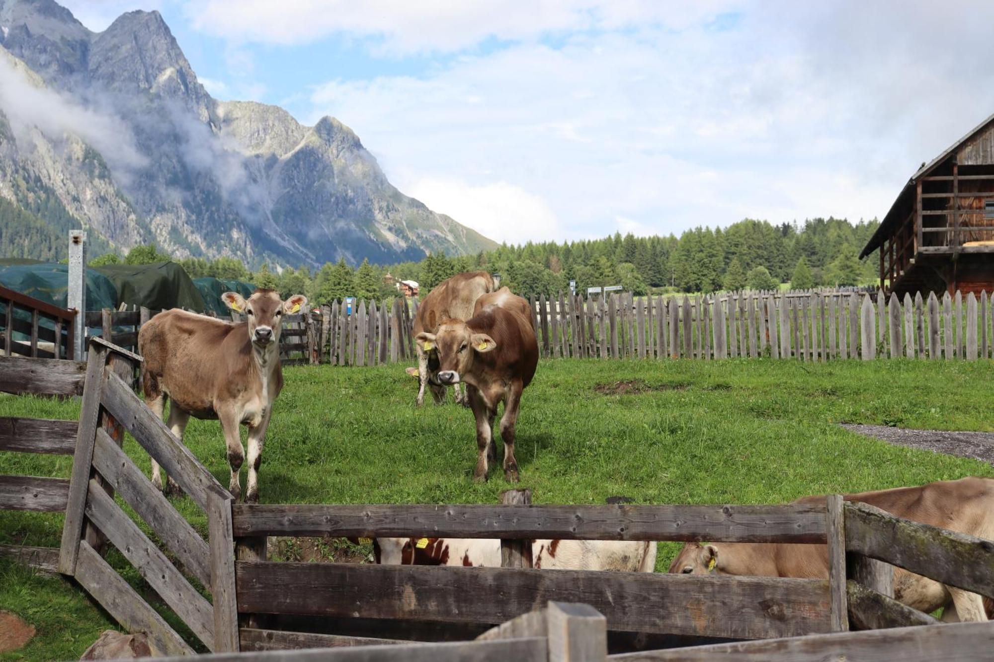 Huberhof Villa San Giuseppe in Anterselva Luaran gambar